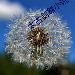 太古剑尊小说
