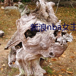 新浪(làng)nba女主播(bō)