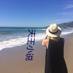 天(天)王小说