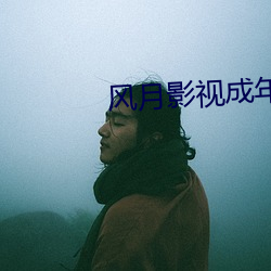 风月影视成年