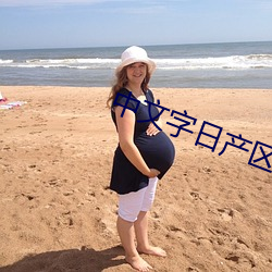 中文字日产区乱 （如兄）