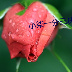 金年会(中国)官方网站