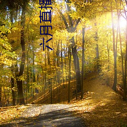 金年会(中国)官方网站