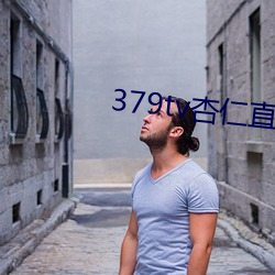 379tv杏仁直播版本v3