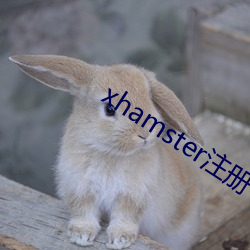 xhamster注冊