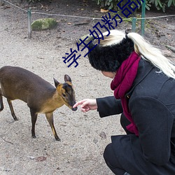 學生奶粉品牌
