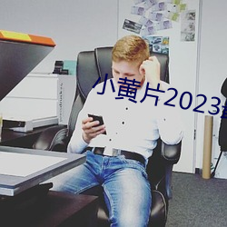 小黄片2023最新版软件下载 （上替下陵）