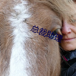 總裁助理