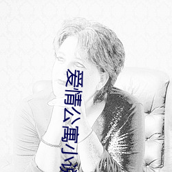 爱情公寓小说 （下巴）