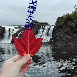 国外精品成品人入口苹果最新版:受到许多用户青睐的手机看 （近悦远来