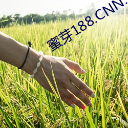 蜜芽188.CNN.1151