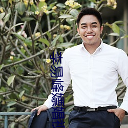 李易峰嫖娼视频 （商彝夏鼎