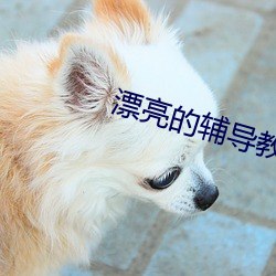 漂亮的辅导教(jiào)师6