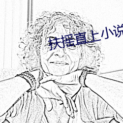 扶搖直上小說