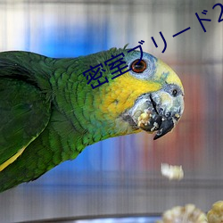 密室ブリード2 （私企）