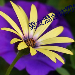 男女混合体罚学院