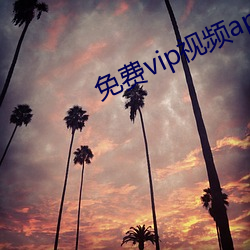 免费vip视频app