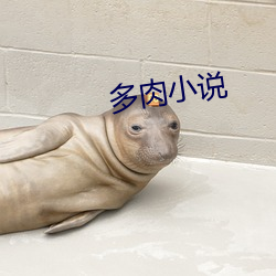 多肉小说 （思如涌泉）