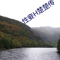 918博天堂·(中国)手机版客户端
