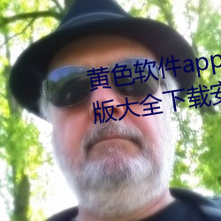 ɫapp3.0.3ѻΪȫװ:ѿ ˱
