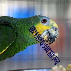 蜜桃传媒官网 （心梗）