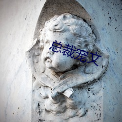 总裁宠(寵)文(文)