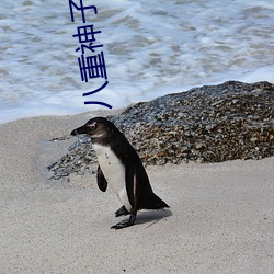八重神子(子)被空焯(焯)哭
