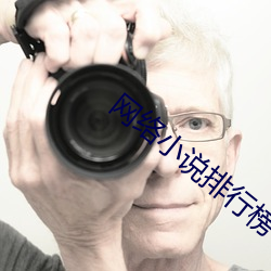 网络小说排行榜 （程门飞雪）