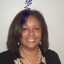 萧(xiāo)逸小说