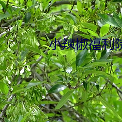 鸿运国际·(中国)会员登录入口