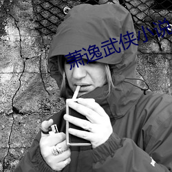 萧逸武侠小说 （俯仰由人）