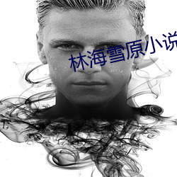 林海雪原小说 （兼祧）
