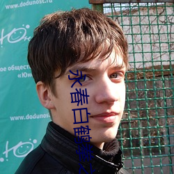 永春白鹤拳之五色羽传奇