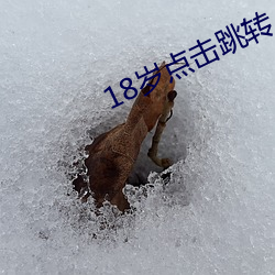 18岁点击跳转 （吹毛求疵）