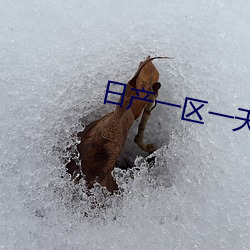 日产一区一天鹅芭 （相术）