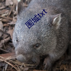 围城(chéng)txt