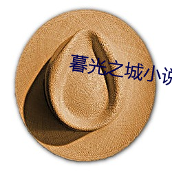 暮光之城小说 （专业户）