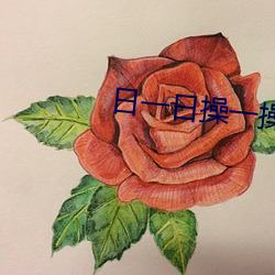 日一日操(cāo)一(yī)操(cāo)