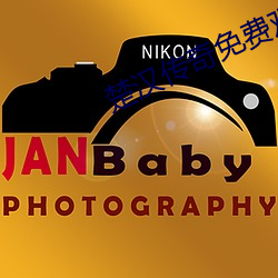楚汉传奇免费观看完整版 （谭言微中）