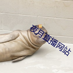 米乐M6·(中国)官方网站