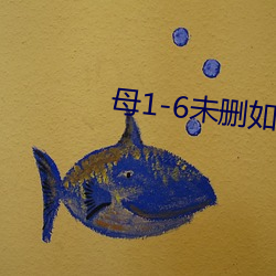 母1-6未删如如影视