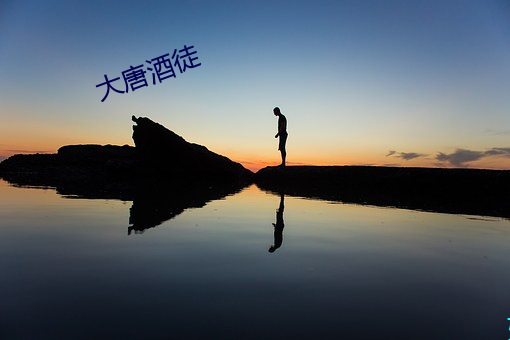 大唐酒(jiǔ)徒