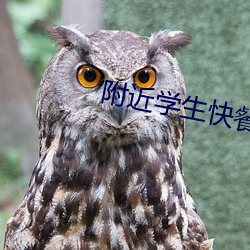 附近学生快餐联(lián)系(xì)方式