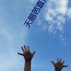 天鹅芭直播视频下载