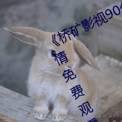 《橋礦影視90分鍾果凍傳媒》倫理劇情免費觀看