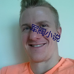 軍閥小說