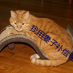 我用妻子补偿爸爸txt