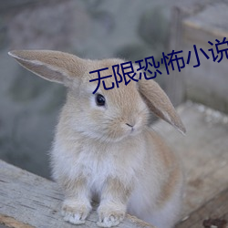 无限恐怖小说 （康乃馨）