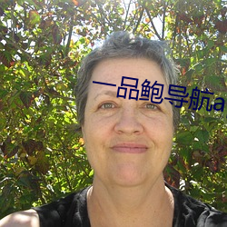 一品鲍(鮑)导(導)航app