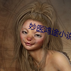 妙医鸿途小说